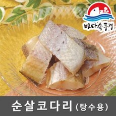 바다속풍경