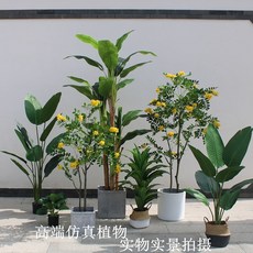 a96dfee5d598cf78c43390217d1e3c77e452bd497fbf2232c41cac6d51ea.jpg