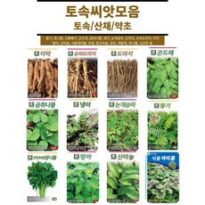 토속 토종 민속 약초 채소 모음 / 도라지 더덕 슈퍼도라지 명이나물 달래 취나물 곰취씨앗 산마늘씨앗, 30. 익모초 1g, 1개