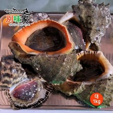 [별미가] 하얀돌 해녀가 직접 채취한 자연산 통영 참소라 대 1kg(6-7미), 참소라 대1kg, 1개