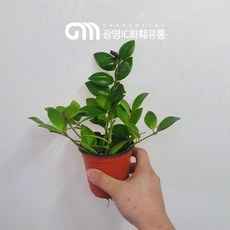a784c800d89410aeff0382fb7b323555bd7fa500c7667861444cc0332335.jpg