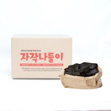 공기정화용숯나무