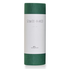블루버킷 오늘의 수세미 60p, 1개, 딥그린