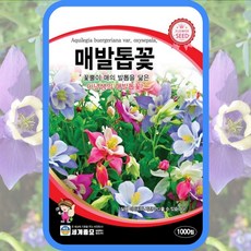 매발톱