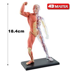 f4093207e3908df1ce8371df9d3cd73860d35551bbbaf9d099dbbf3eaab1.jpg