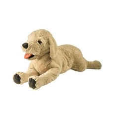이케아 GOSIG GOLDEN 강아지 골든리트리버 봉제인형 대, 70cm, 옐로