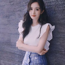 주름레이스토시