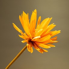 4e40e4ae578e0c29e51a7e55ad9953898c47715ddd83d9ccc18bdf275671.jpg