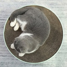 f1c1b7c2a806797fbc78d9d13c6d3207be2889975c0af0bcd8c8b1b8a3b3.jpg