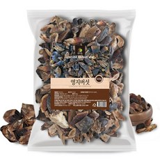 먹기좋게 짤라 놓은 영지버섯 100% 국내산, 1개, 500g