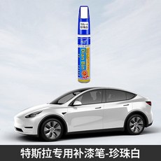 테슬라 모델 Model 3 s x y 붓 펜 페인트 문콕 필러 기스 스크래치