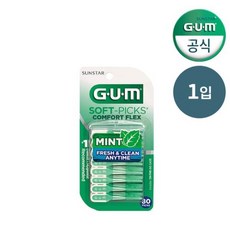 GUM 검 일회용 치간칫솔 코스트코 소프트픽 민트향 80p 1개입