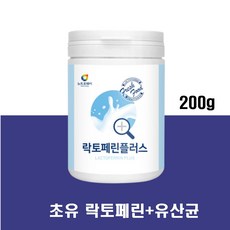 쪽파우더