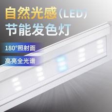 b961fd8b6b88c62a332d180e85f6bfb18cbff8c4e294b2c71e6e9feec8d4.jpg