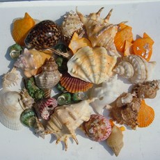 e7be03090210fc4de0b3d9738a0aedeb8467c4c578c7053b0500017a2eef.jpg