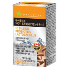 메이플트리보라지유