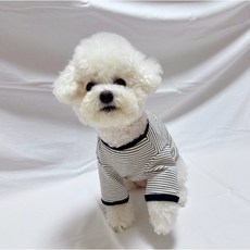 스타일독 강아지옷 미카 스트라이프 라운드, 1개, 네이비