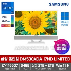 삼성전자 일체형PC 올인원 DM530ADA-i7ND LIMITED 윈도우11_인텔i7_64GB램_삼성SSD2TB_HDD2TB_한컴오피스증정 고성능 업무용 데스크탑