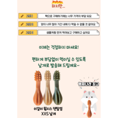 햄스터 이갈이 간식 윔지스 칫솔 모양 햄스터가 좋아하는 덴탈껌, 9개