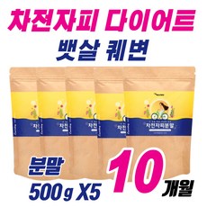 차전자피 가루 100% 변비 뱃살 복부가스 장운동 퀘변 직빵 여자 여성 남성 남자 다이어트 장비우기 배변활동 배출 선물로 좋은 인도산 차전차피 식이섬유 분말 차 대용량 추천