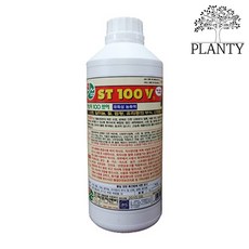 st100v TOP01