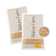 신바람 네이처샌드 옐로우 노멀 2kg (2개입), 2팩