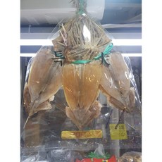 [건어물집주인장] 동해안 특산품 왕 특대 마른 (건) 오징어 20마리 2kg 10마리1kg 5마리 500g 영양간식, 1개
