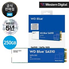 WD Blue SA510 SATA SSD, WDS250G3B0B, 250GB