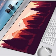 데스크탑잠금장치