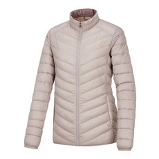 데이브경량구스