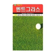 골프장양잔디