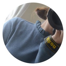 고비숄