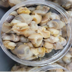 깐 자숙 백골뱅이 250g 고단백 & 저지방 간 건강에 도움 콜레스테롤 조절 술안주 무침 별미 반찬 으로 좋아요, 1개