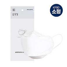 [KF80 소형 10매] 늘 푸른 황사방역 마스크/화이트/개별포장