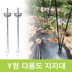 y자지지대