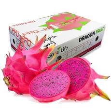 베트남열대과일