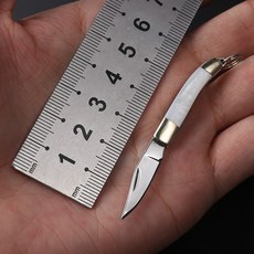 다이빙칼 실외 소형 칼휴대 예리 접이식칼 호신용칼 경도 과일칼 칼날갈기 열쇠고리 작은칼, T05-화이트조개(매칭 숫돌+칼기름)