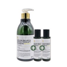 어헤즈 프리미엄 히든 테라피 샴푸 430ml 여행용 샴푸+트리트먼트 증정, 상세페이지 참조