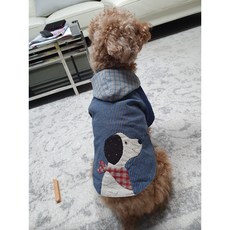 얀퀼트