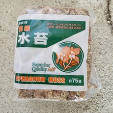 건수태