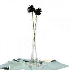 PWZ0517245x36cm 유리화분 오로라 스커트 화병