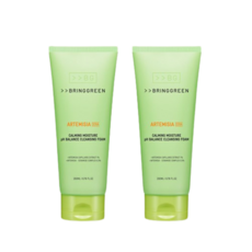 브링그린 사철쑥 약산성 클렌징 폼 250ml, 200ml, 2개