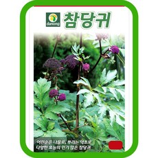 다농 참당귀 씨앗 1g, 1개
