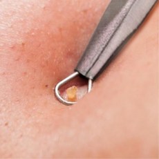 일본피지압출기