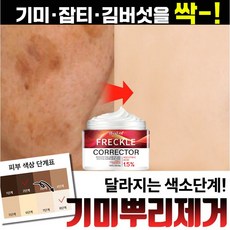 [국내배송]1+1/2+2/3+3 기미 잡티 제거 색소침착 크림 반점 김버섯 주근개 다크스팟 주름 미백 기능성 크림