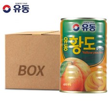 지중해황도슬라이스