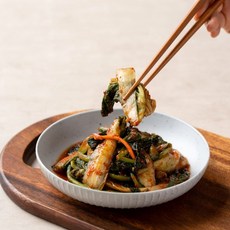 얼갈이김치 10kg 팔팔마켓 전라도 보성엔 녹차 단배추, 1개