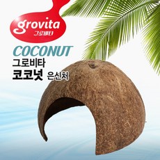 가재은신처 TOP01