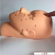 피부미용마네킹 동대문마네킹 학습형 모델헤드. 헤드교습헤드 가정용 실리콘 러버업, 01 속눈썹 접목 전용