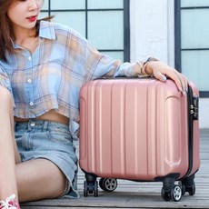 1인캐리어